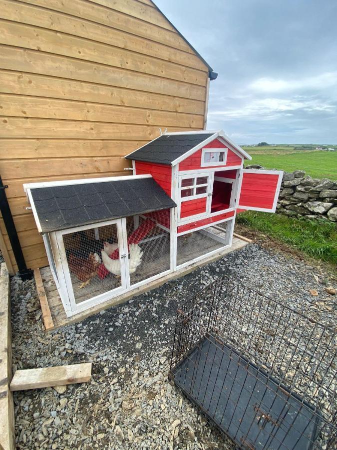Riverfield Apartment Milltown Malbay Exterior foto